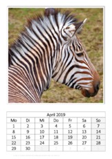 April_Zebra.pdf